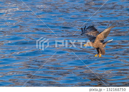 知床　冬 132168750