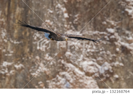 知床 冬 知床 冬 132168764