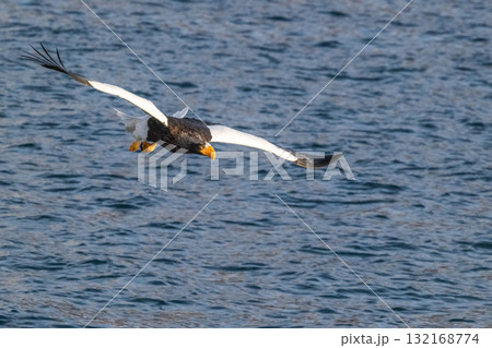 知床　冬 132168774