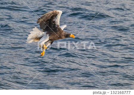 知床　冬 132168777