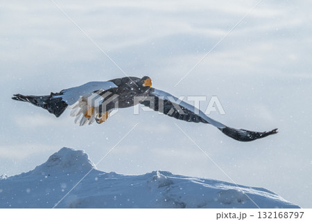 知床 冬 知床 冬 132168797