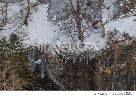 知床　冬 132168826