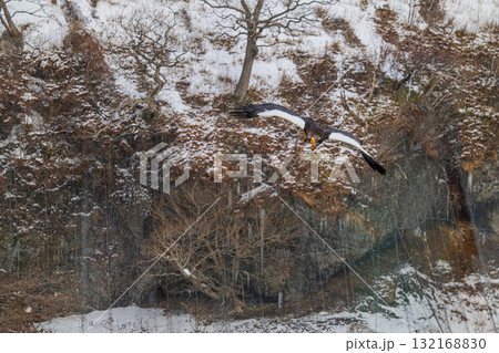 知床　冬 132168830