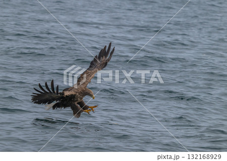 知床 冬 知床 冬 132168929