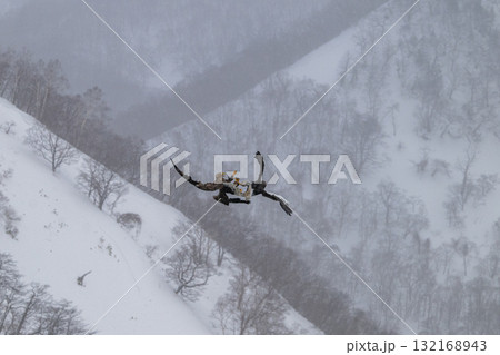 知床　冬 132168943