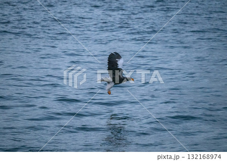 知床 冬 知床 冬 132168974