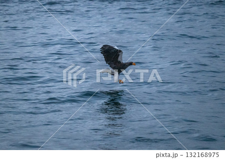 知床　冬 132168975