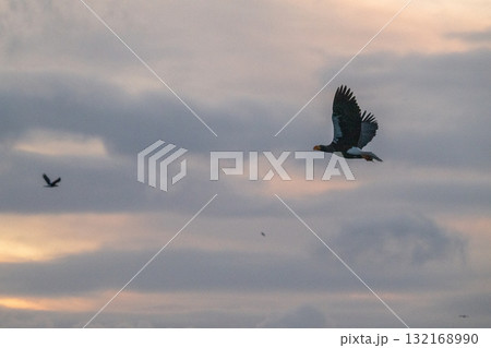 知床　冬 132168990