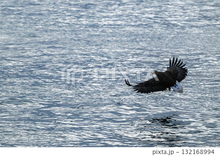 知床　冬 132168994