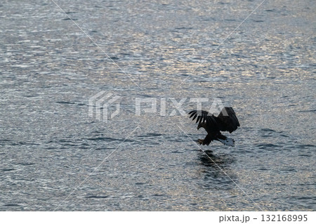 知床　冬 132168995