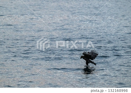 知床　冬 132168998