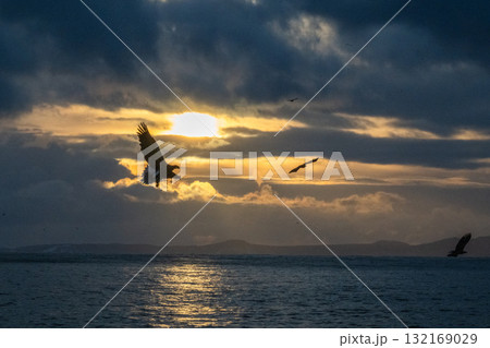 知床 冬 知床 冬 132169029