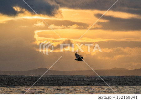 知床　冬 132169041