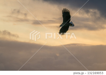 知床　冬 132169053