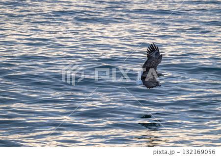 知床　冬 132169056