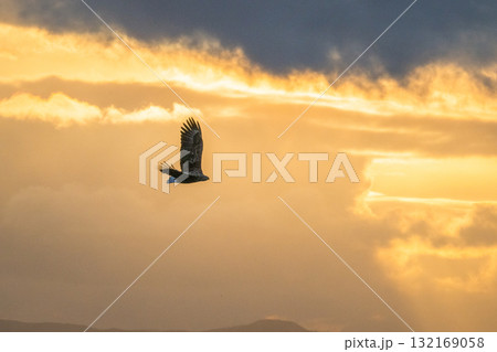 知床　冬 132169058