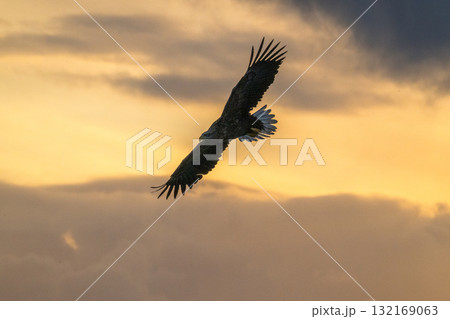 知床　冬 132169063