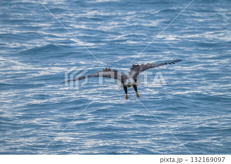 知床　冬 132169097