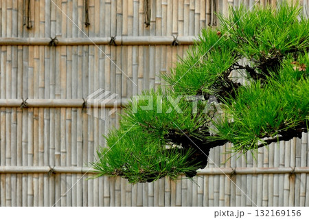 竹垣と松の盆栽　松竹縁起物　年賀素材 132169156