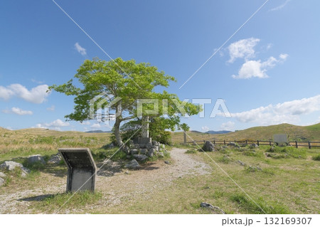 秋吉台　若竹山山頂 132169307