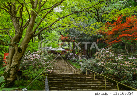 室生寺-女人高野の古寺 室生寺-女人高野の古寺 132169354