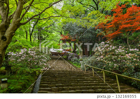 室生寺-女人高野の古寺 室生寺-女人高野の古寺 132169355