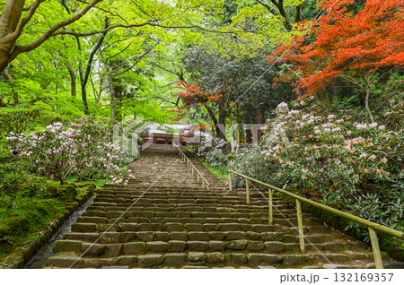 室生寺－女人高野の古寺 132169357