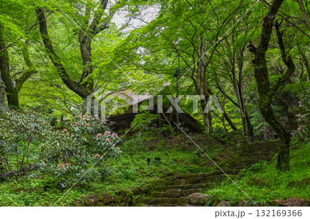 室生寺-女人高野の古寺 室生寺-女人高野の古寺 132169366