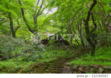 室生寺－女人高野の古寺 132169367
