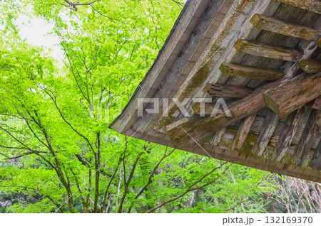 室生寺－女人高野の古寺 132169370