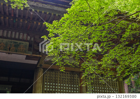 室生寺－女人高野の古寺 132169380