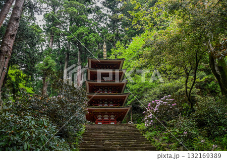 室生寺-女人高野の古寺 室生寺-女人高野の古寺 132169389