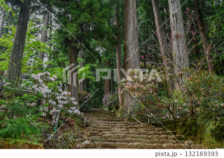 室生寺－女人高野の古寺 132169393