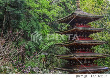 室生寺-女人高野の古寺 室生寺-女人高野の古寺 132169396