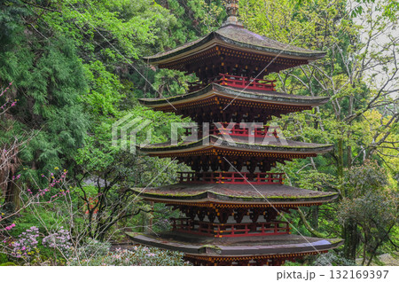室生寺-女人高野の古寺 室生寺-女人高野の古寺 132169397