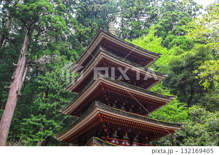 室生寺-女人高野の古寺 室生寺-女人高野の古寺 132169405