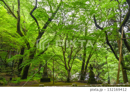 室生寺-女人高野の古寺 室生寺-女人高野の古寺 132169412