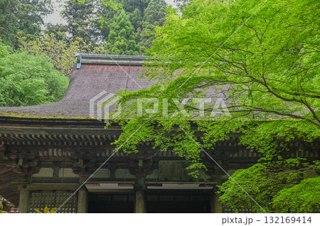 室生寺-女人高野の古寺 室生寺-女人高野の古寺 132169414