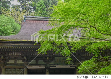 室生寺-女人高野の古寺 室生寺-女人高野の古寺 132169415
