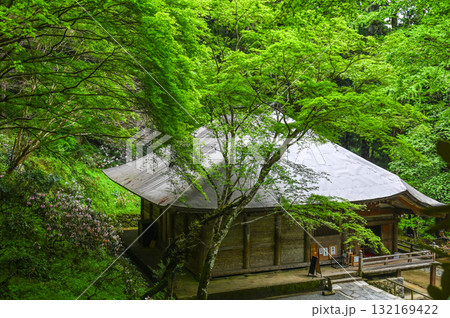 室生寺-女人高野の古寺 室生寺-女人高野の古寺 132169422
