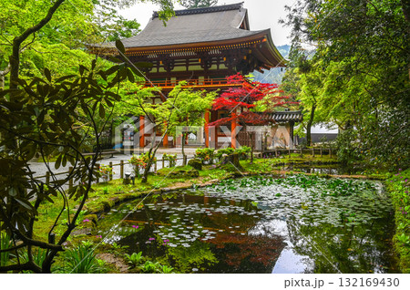 室生寺-女人高野の古寺 室生寺-女人高野の古寺 132169430