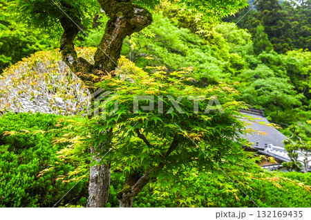 室生寺－女人高野の古寺 132169435