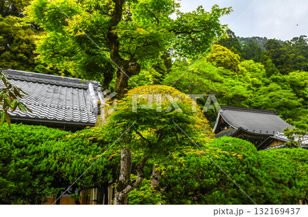 室生寺-女人高野の古寺 室生寺-女人高野の古寺 132169437
