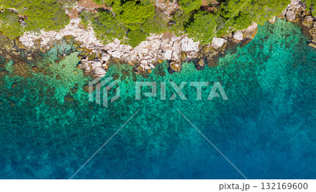 Rocky Dalmatian shore in Croatia with crystal water reef patterns and dense pine canopy viewed directly from above 132169600