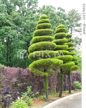 景色 風景 植物 132170553