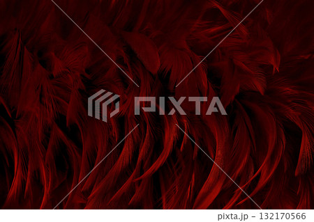 Beautiful dark red bird feathers pattern texture background. 132170566