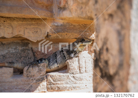 カーバ遺跡－マヤ文明の石造建築 132170762