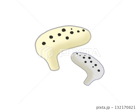 色違いのオカリナ 132170821