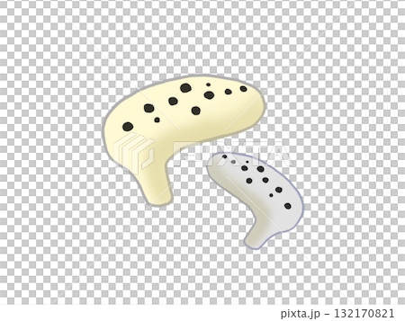 色違いのオカリナ 132170821