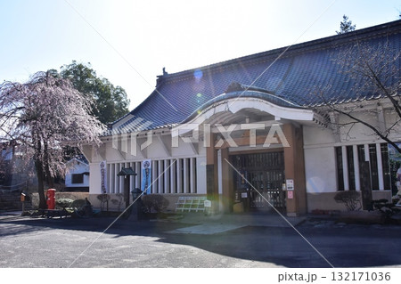長野県　小諸城址懐古園の徴古館（小諸城歴史宝物館）と満開枝垂桜 132171036